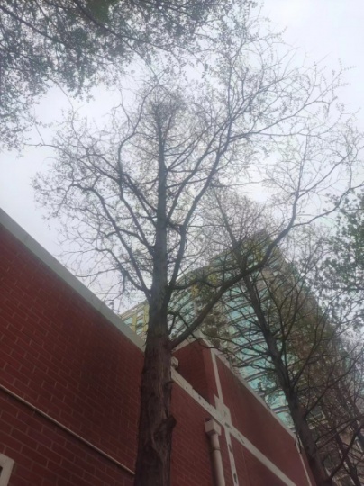 固體廢物處理處置工程乙級資質(zhì)轉(zhuǎn)讓收購需要注意哪些事項(xiàng)