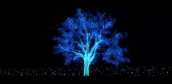 威雅 - 杭州校區(qū)創(chuàng)校典禮